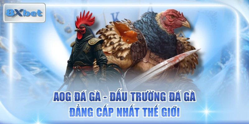 AOG Đá Gà - Đấu Trường Đá Gà Đẳng Cấp Nhất Thế Giới