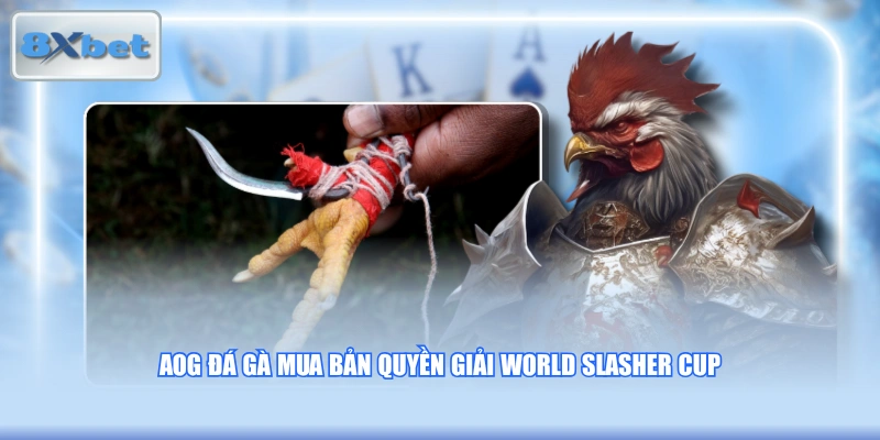 AOG đá gà mua bản quyền giải World Slasher Cup