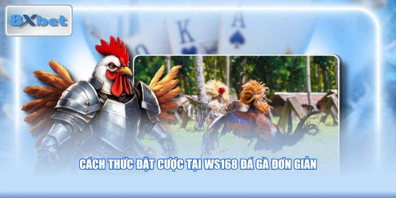 Cách thức đặt cược tại WS168 đá gà đơn giản