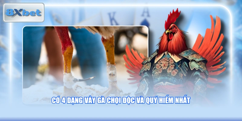 Có 4 dạng vảy gà chọi độc và quý hiếm nhất