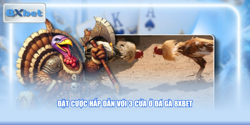 Đặt cược hấp dẫn với 3 cửa ở đá gà 8XBET