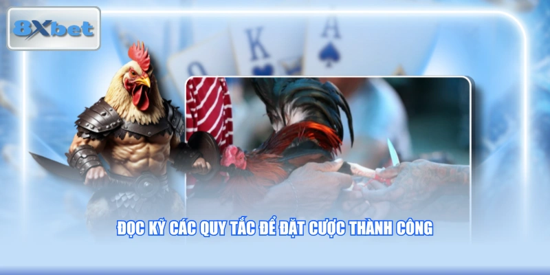 Đọc kỹ các quy tắc để đặt cược thành công