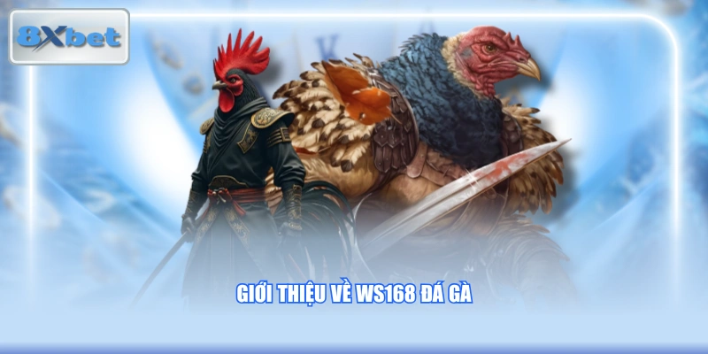 Giới thiệu về WS168 đá gà