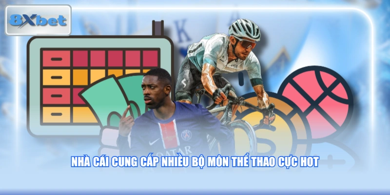 Nhà cái cung cấp nhiều bộ môn thể thao cực HOT