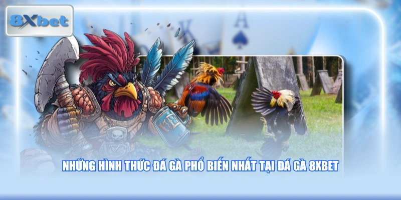 Những hình thức đá gà phổ biến nhất tại Đá gà 8XBET
