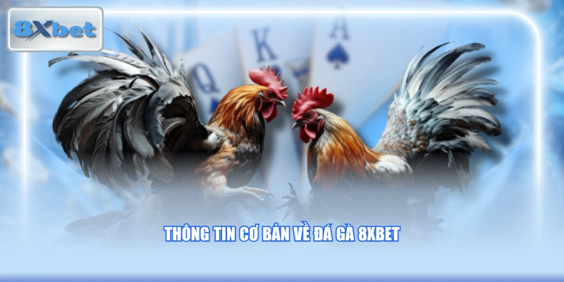 Thông tin cơ bản về đá gà 8XBET