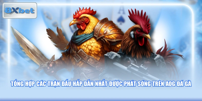 Tổng hợp các trận đấu hấp dẫn nhất được phát sóng trên AOG Đá Gà