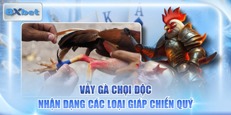 Vảy Gà Chọi Độc - Nhận Dạng Các Loại Giáp Chiến Quý