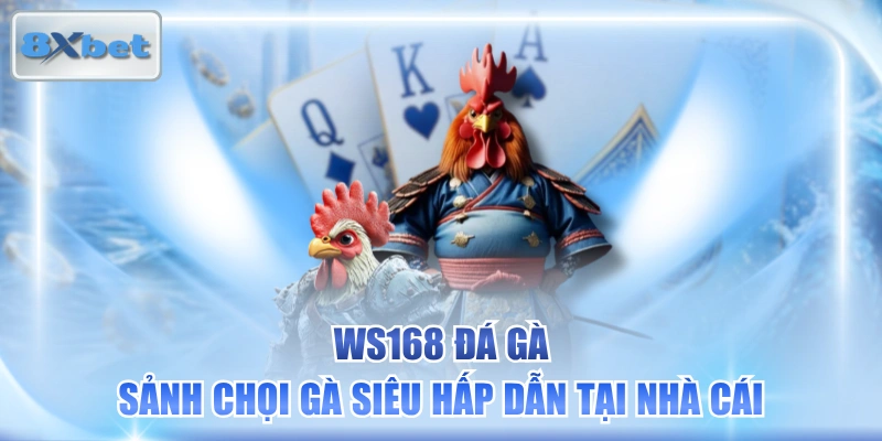 WS168 Đá Gà - Sảnh Chọi Gà Siêu Hấp Dẫn Tại Nhà Cái